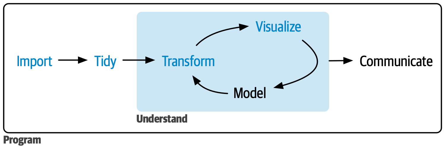 A diagram displaying the data science cycle: Import -> Tidy -> Understand  (which has the phases Transform -> Visualize -> Model in a cycle) -> Communicate. Surrounding all of these is Program  Import, Tidy, Transform, and Visualize is highlighted.