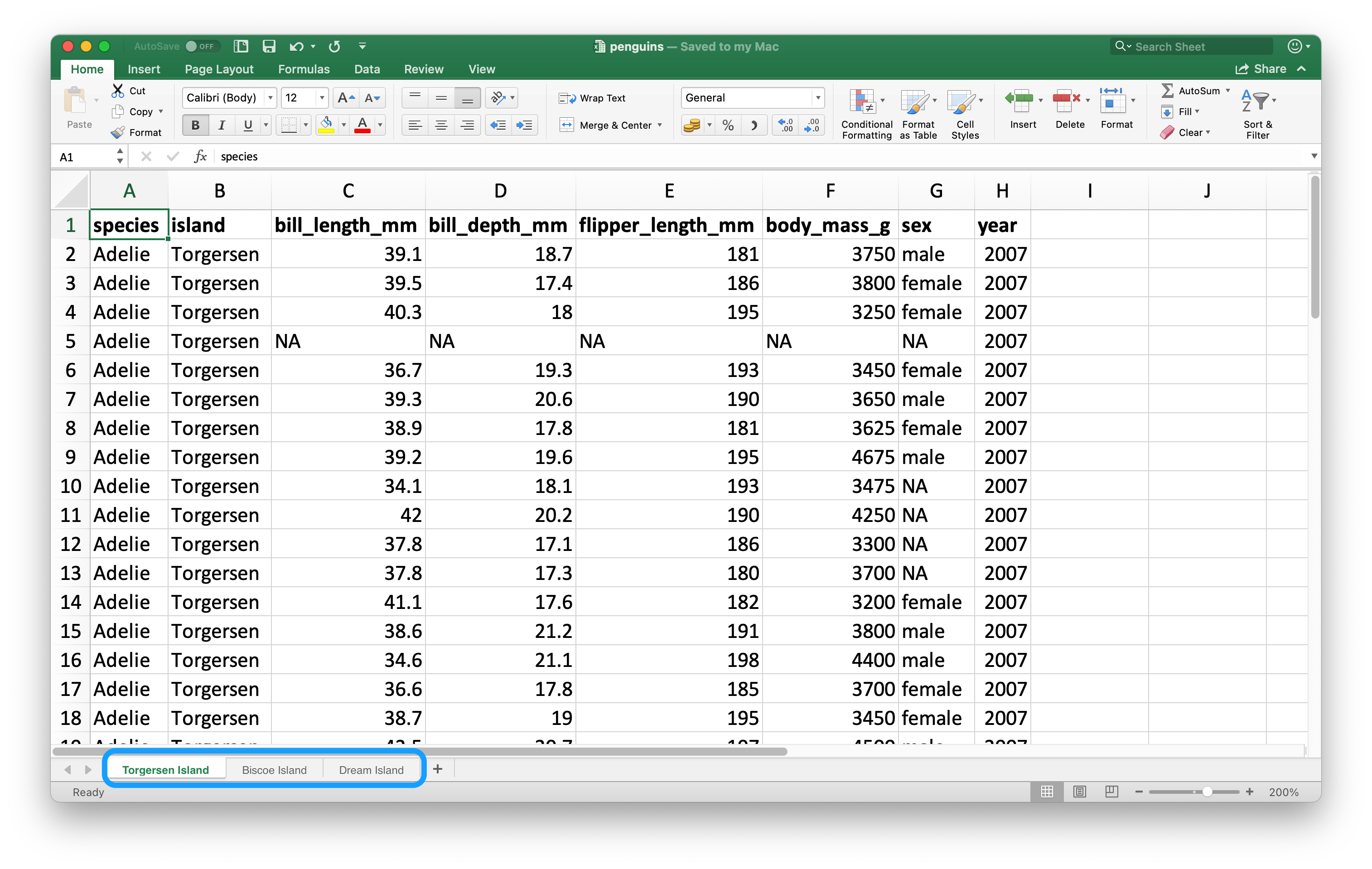 A look at the penguins spreadsheet in Excel. The spreadsheet contains has  three worksheets: Torgersen Island, Biscoe Island, and Dream Island.