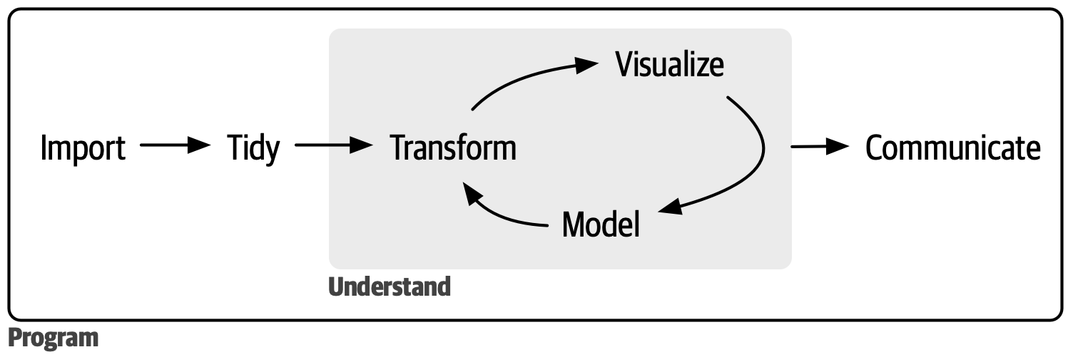 A diagram displaying the data science cycle: Import -> Tidy -> Understand (which has the phases Transform -> Visualize -> Model in a cycle) -> Communicate. Surrounding all of these is Program. 
